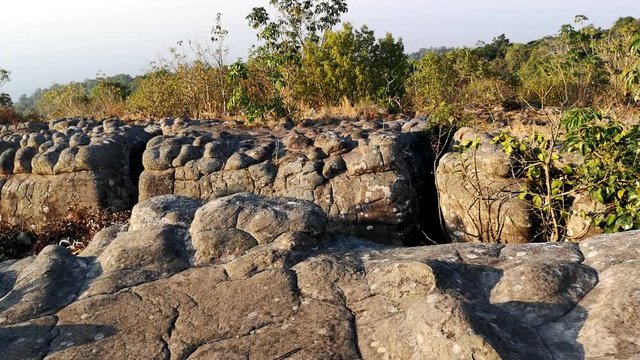 Natural trail to Lan Hin Pum at Phu Hin Rong Kla Park Phitsanulok Province,Thailand.