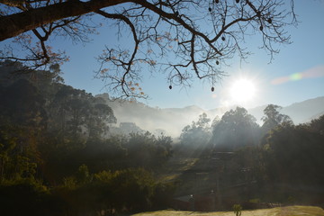 Inverno no campo com névoa