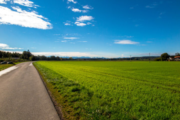 Fototapeta na wymiar A small regional road passing through the wheat fields in the Landsberg am Lech region of Germany. Via Claudia Augusta