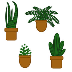 set of plants in pots