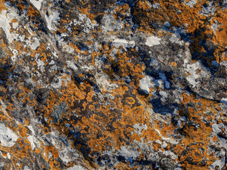 rock with gray and orange color, texture background.