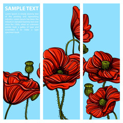 Set of vector vertical banners with hand drawn red poppies on blue background.