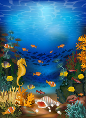 Fototapeta na wymiar Underwater card with seashell and tropical fish, vector illustration