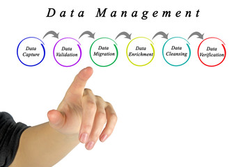 Process of Data Management