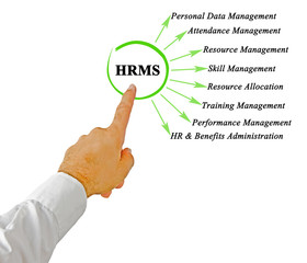 Functions of human resource management system