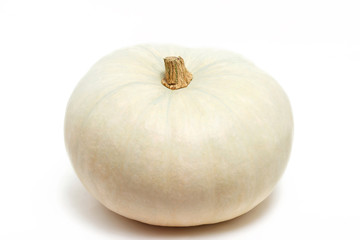 Pumpkin isolated on white background. Close-up. 