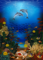 Fototapeta na wymiar Underwater wallpaper with dolphins and seashell, vector illustration