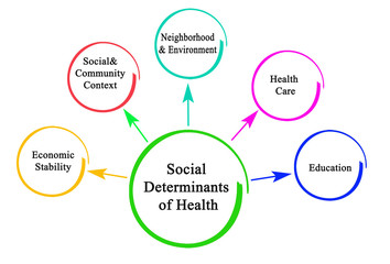 Social Determinants of Health - obrazy, fototapety, plakaty