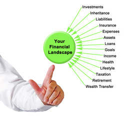Your Financial Landscape.