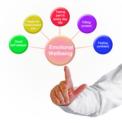  Drivers of Emotional Wellbeing