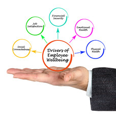 Drivers of Employee Wellbeing.