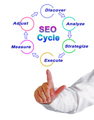 Components of SEO Cycle.