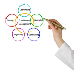 Function of Management