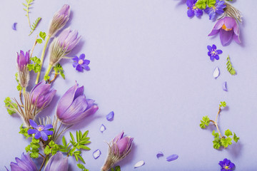 beautiful spring flowers on blue background