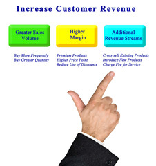 How to  Increase Customer Revenue