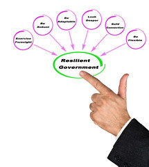 How to get Resilient Government