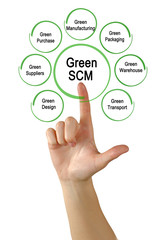Green SCM Components