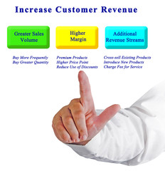 How to  Increase Customer Revenue