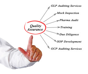 Diagram of Quality Assurance