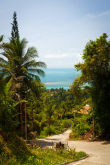 Obraz premium thailand