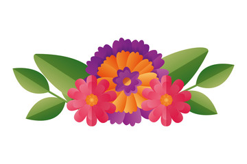 flower floral decoration