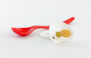 Pacifier and Spoon