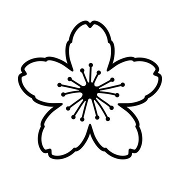 Cherry blossom flower or sakura line art vector icon for apps and websites