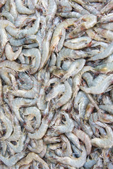 Stack of many fresh shrimp on fish market jetty. For seafood, food, kitchen, texture and background.