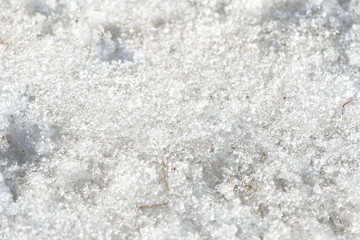 Abstract snow texture. Early spring snow background close up