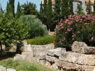 Old stone wall, plants, trees, and nerium oleander blooming plants, in the ancient cemetery of...