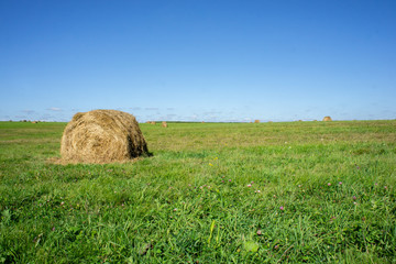 Hay field with large round bales. Environmentally friendly production.
