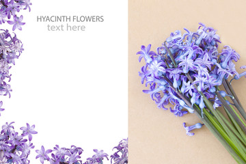 Creative layout made of  purple Hyacinthus orientalis flowers with space for text.Top view. 