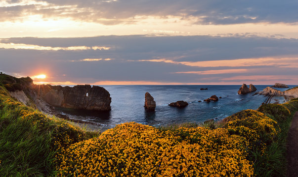 Blossoming Arnia Beach evening coastline landscape.