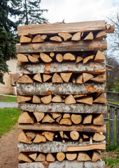 stack or pile of cut wood in the garden