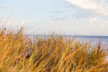 Obraz premium Morning colors