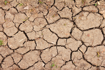 Dry gray cracked earth with patches of grass