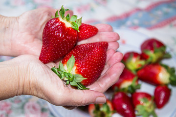 hands holding strawberries