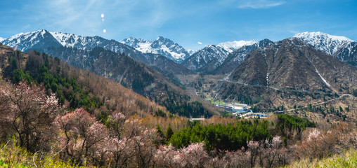 Fototapeta na wymiar Spring in the valley of Medeo. Spring mountain landscape