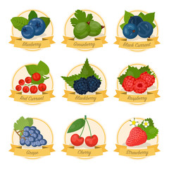 Berries, fruit with names vector illustrations set