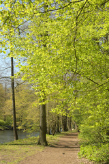 Obraz premium der frühling