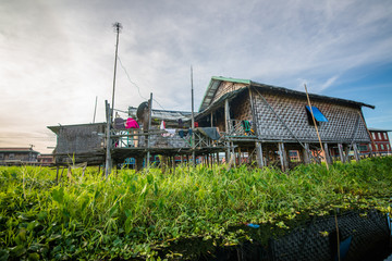 Strolling by boat in Inle Lake, Myanmar.
