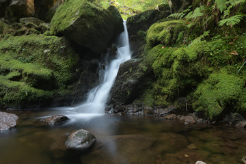 mystic water fall flowing in pond  with moss stones in blackwood forest long exposure 