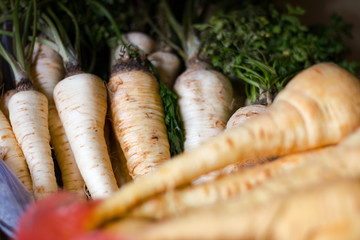 Bundle of fresh organic parsnip with haulm