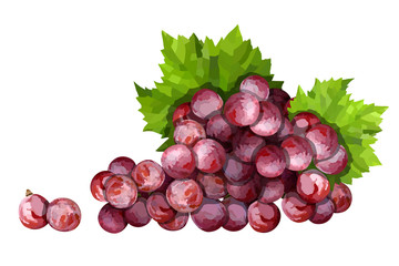 Ripe red grape. Pink bunch with leaves vector illustration