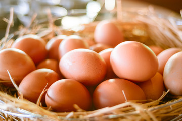 Closeup eggs in a basket.Fresh Brown eggs in wooden bowl.
