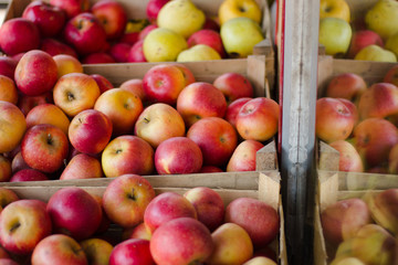 Fresh apples in wooden boxes