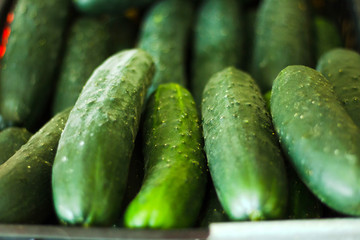 Fresh cucumbers