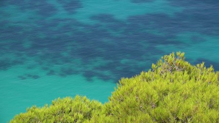 Fototapeta na wymiar Green light pine and turquoise water, gorgeous landscape, Greece