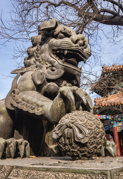 Chinese guardian lion commonly called foo dog in Lama Temple in Beijing, capital city of China