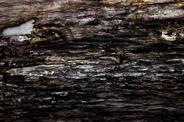 texture of wood and boards